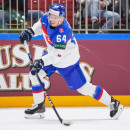 Podpíše slovenský obranca z MS v NHL? Generálny manažér Arizony prehovoril